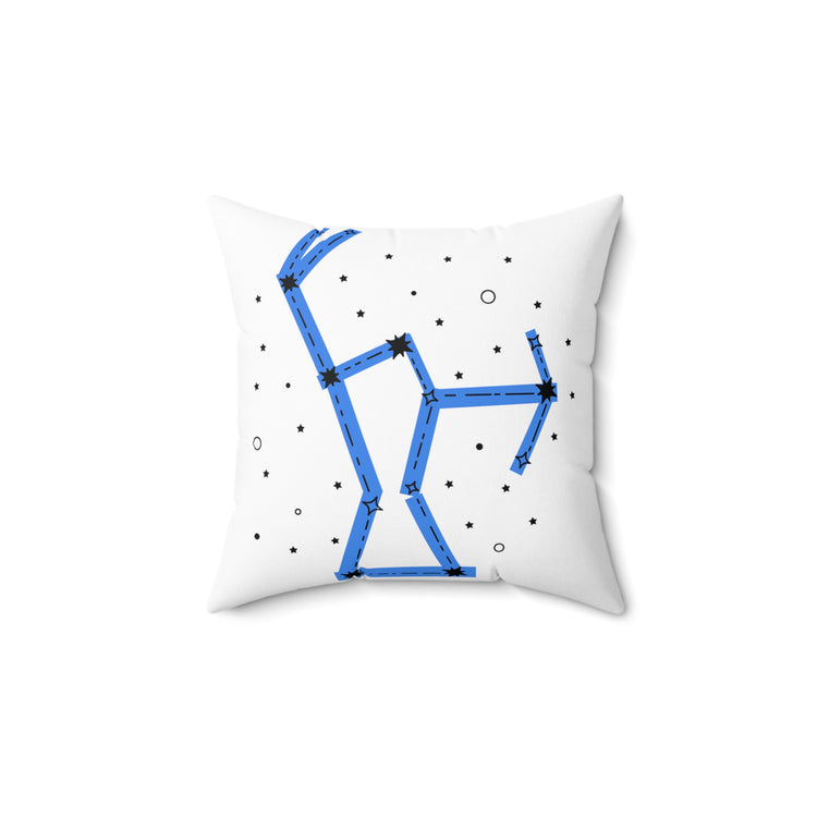 Hilarious Astrology Constellations Astrophysics Stargazing Horoscopes Astrometry Lover Spun Polyester Square Pillow