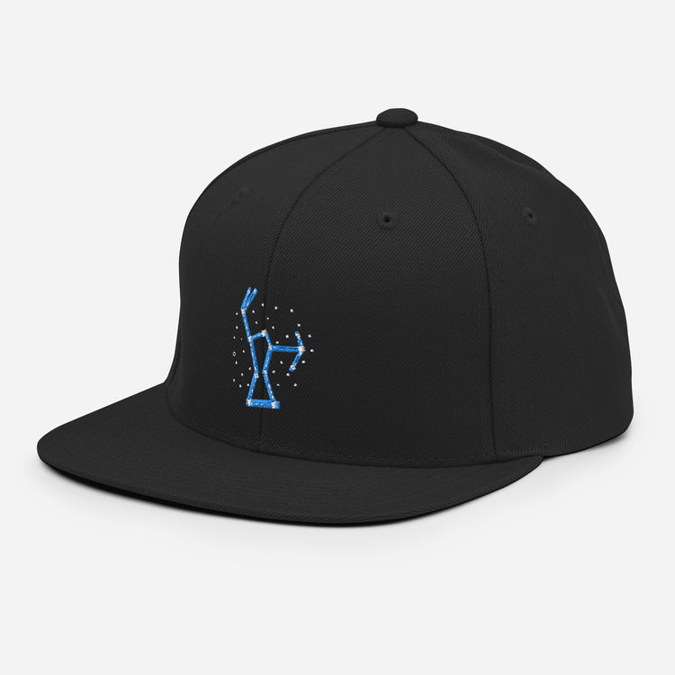 Snapback Hat Hilarious Astrology Constellations Astrophysics Horoscope Humorous Stargazing