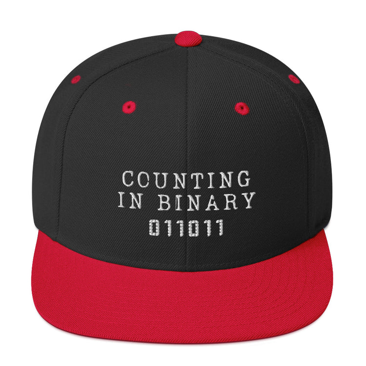 Snapback Hat Humorous Hexadecimal Polynomial Decimal Calculations Lover Byte Star Integers Integrals