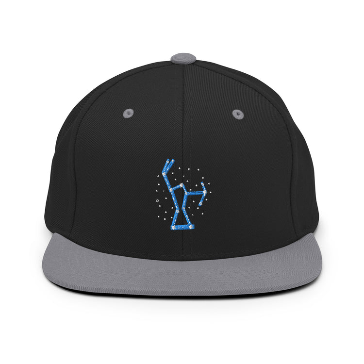 Snapback Hat Hilarious Astrology Constellations Astrophysics Horoscope Humorous Stargazing