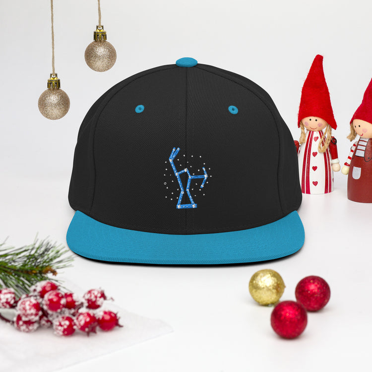 Snapback Hat Hilarious Astrology Constellations Astrophysics Horoscope Humorous Stargazing