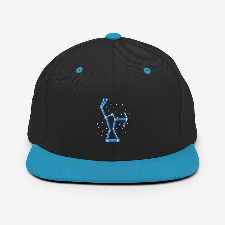 Snapback Hat Hilarious Astrology Constellations Astrophysics Horoscope Humorous Stargazing