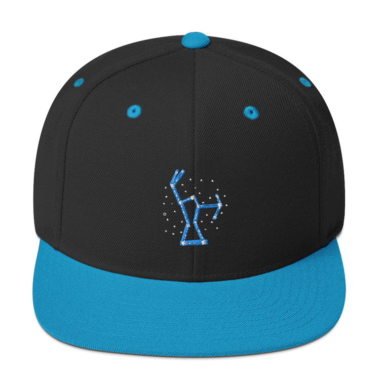 Snapback Hat Hilarious Astrology Constellations Astrophysics Horoscope Humorous Stargazing