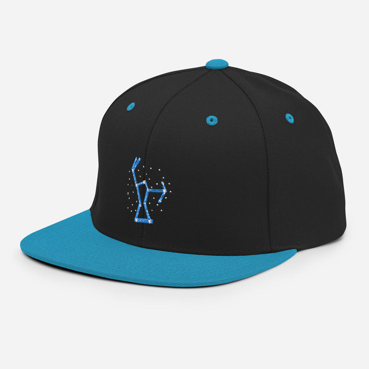 Snapback Hat Hilarious Astrology Constellations Astrophysics Horoscope Humorous Stargazing