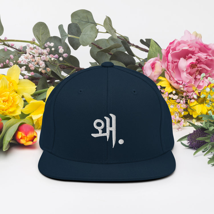 Snapback Hat Korean Languages Speech Dialect Novelty Korea Expression Vocabulary Writtings