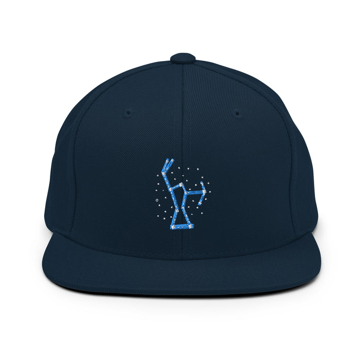 Snapback Hat Hilarious Astrology Constellations Astrophysics Horoscope Humorous Stargazing