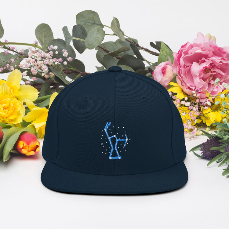 Snapback Hat Hilarious Astrology Constellations Astrophysics Horoscope Humorous Stargazing