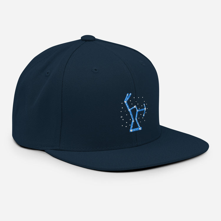 Snapback Hat Hilarious Astrology Constellations Astrophysics Horoscope Humorous Stargazing