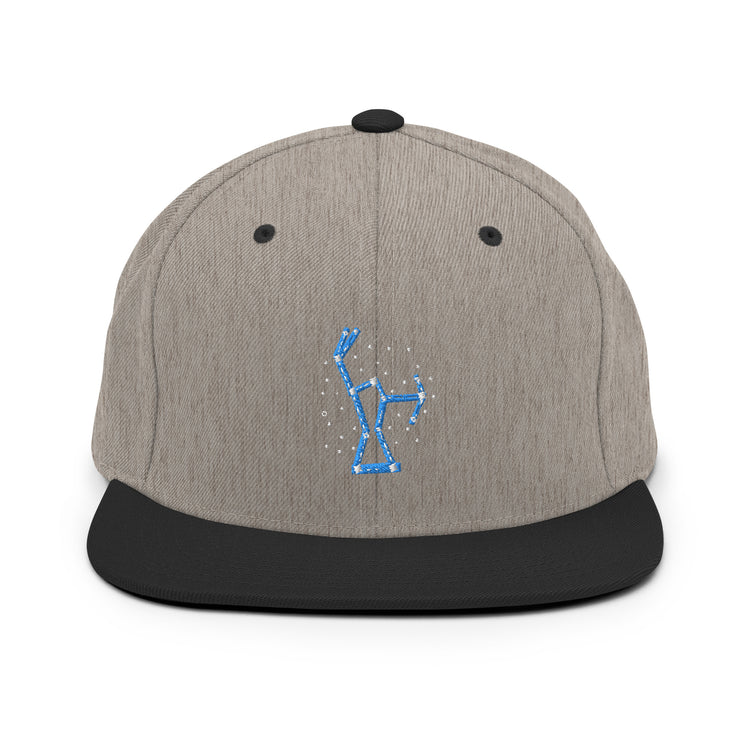 Snapback Hat Hilarious Astrology Constellations Astrophysics Horoscope Humorous Stargazing