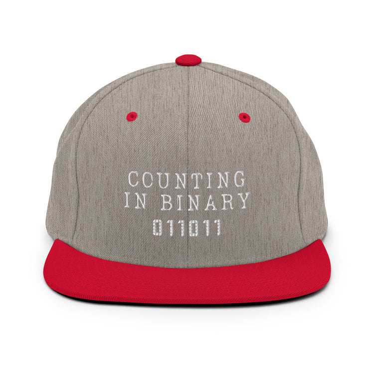 Snapback Hat Humorous Hexadecimal Polynomial Decimal Calculations Lover Byte Star Integers Integrals