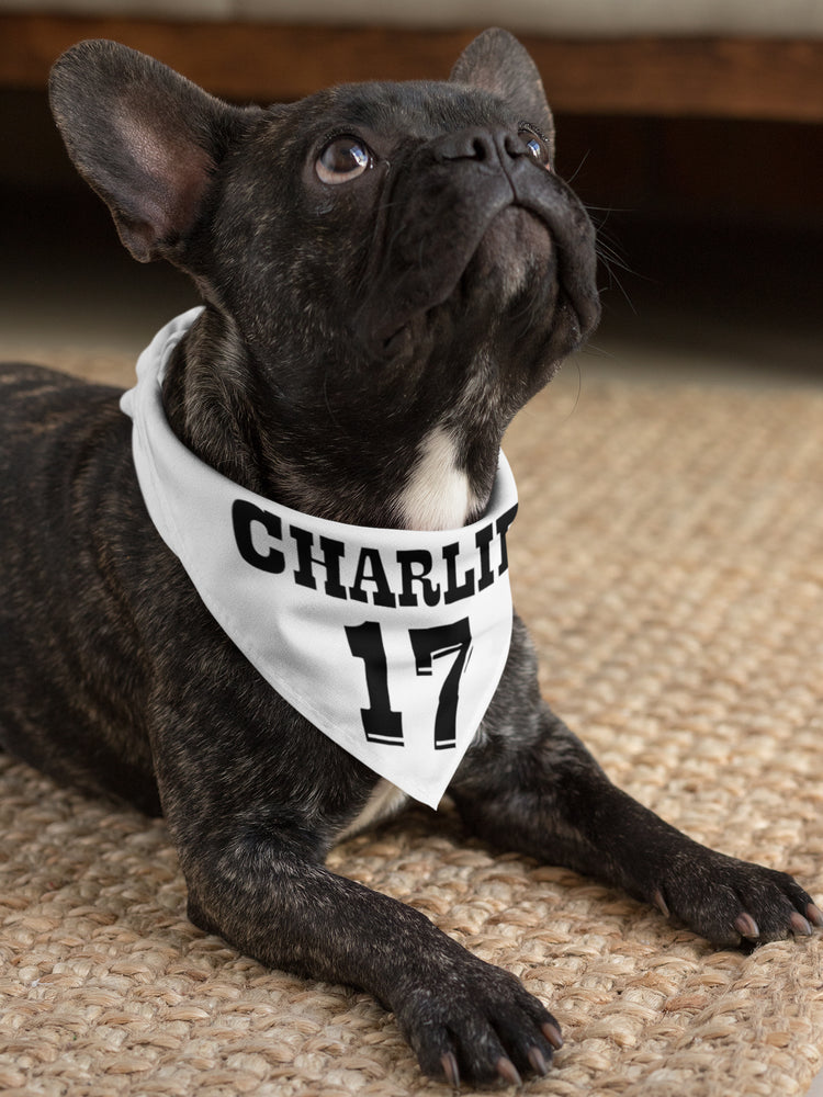 Personalized Pet Name and Number Bandana