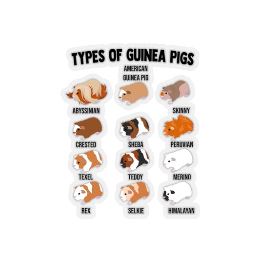 Sticker Decal Novelty Types Of Guinea Pigs Cavies Cavia Porcellus Lover Hilarious Rodents Stickers For Laptop Car