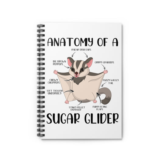 Spiral Notebook   Hilarious Anatomy Of Glider Furry Mammal Pets Enthusiast Gliding Exotic Pet