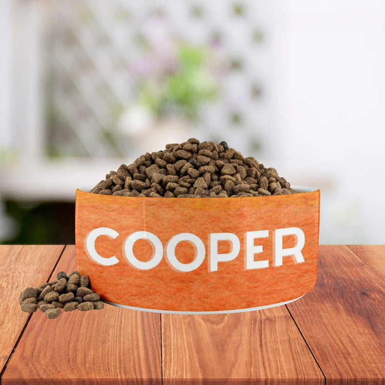 Personalized Dog Name Water Food Bowl