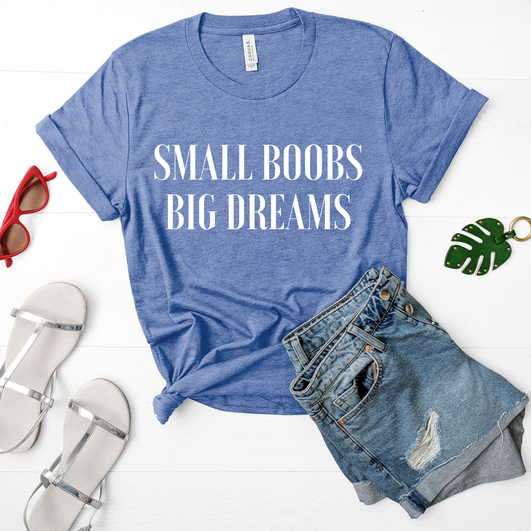 Small Boobs Big Dreams Sassy Introvert Shirt - Teegarb