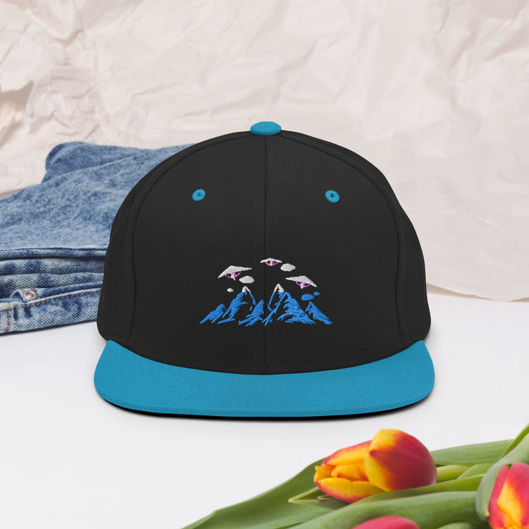 Snapback Hat Novelty Aircraft Aircrews Airship Enthusiast Aviator Gliding Aeroplane Floatplane Plane Extreme Sports