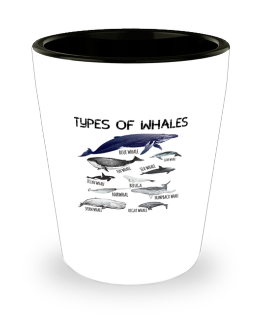 Shot Glass Tequila Party Funny Types Of Whales