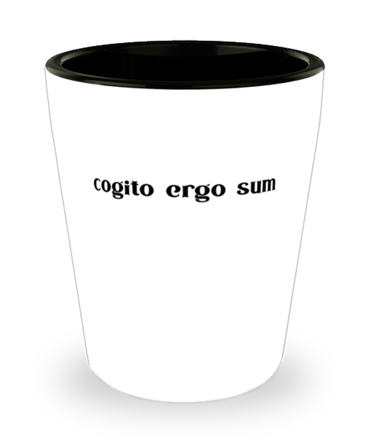 Shot Glass Tequila Party  Funny Cogito Ergo Sum