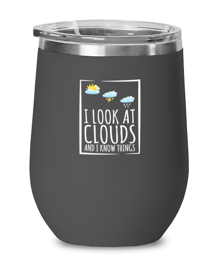 Wine Tumbler Stainless Steel Insulated  Funny Meteorologists Climatology