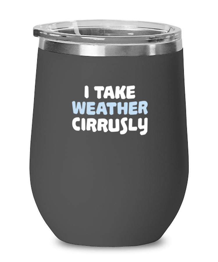 Wine Tumbler Stainless Steel Insulated  Funny I Take Weather Cirrusly Meteorology