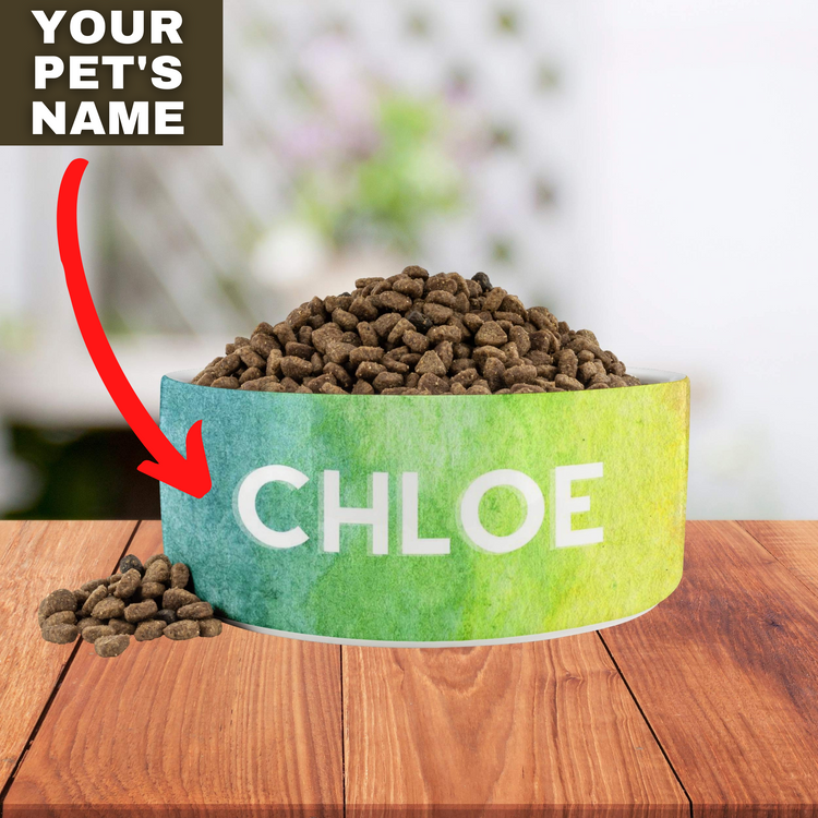 Personalized Dog Name Water Food Bowl